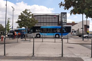 semo